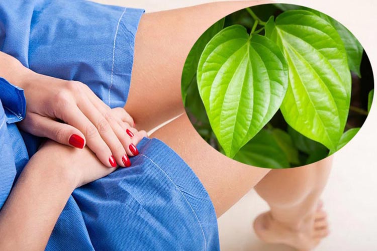 Lá trầu kết hợp với canh có tác dụng gì?