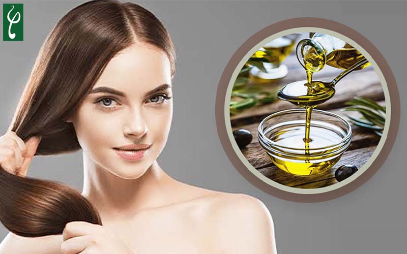 công dụng của dầu olive với tóc